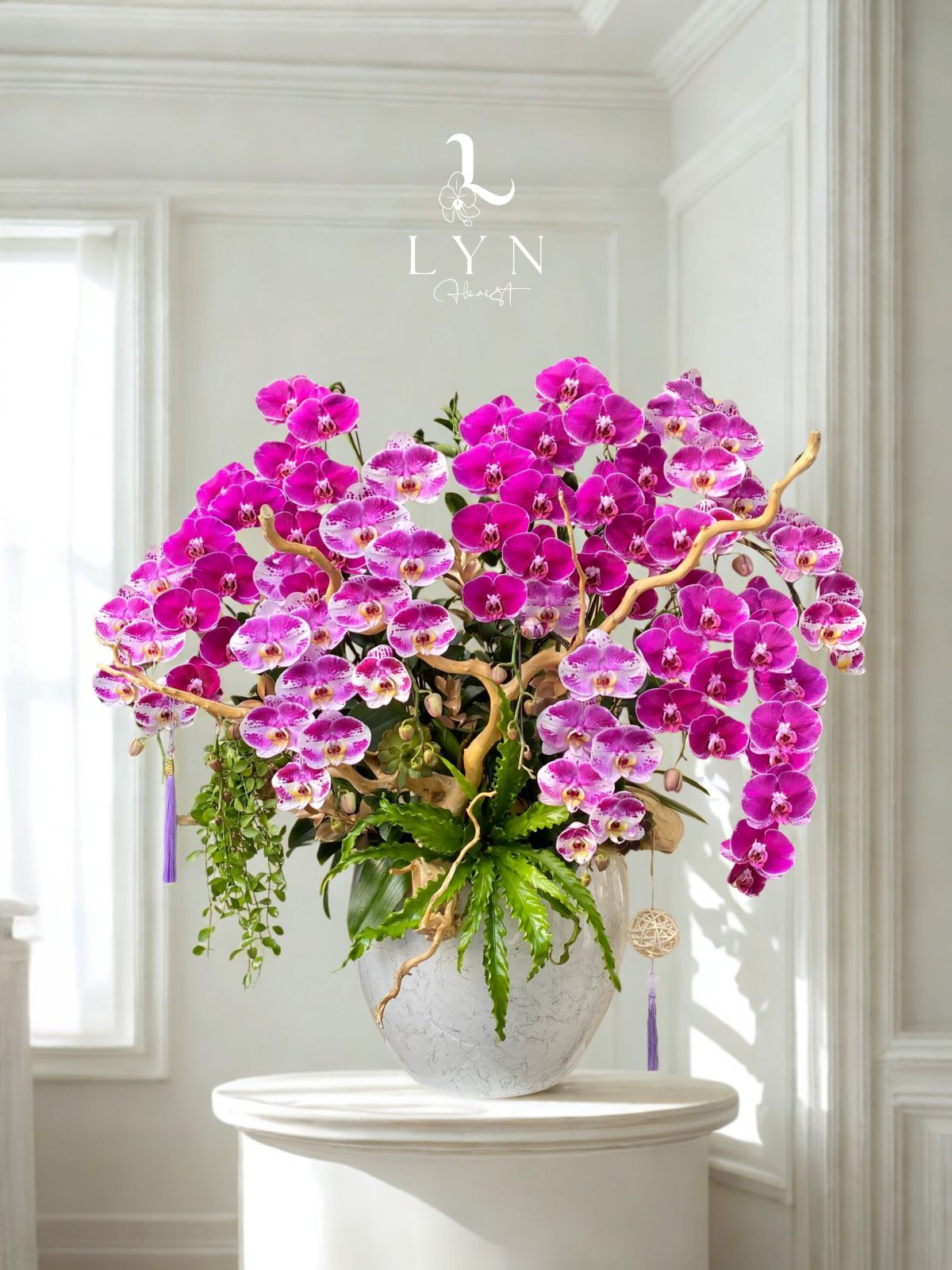 Chậu Hoa Lan Hồ Điệp Phối Màu